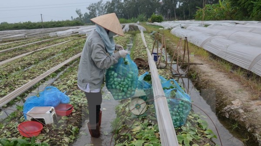 Int’l forum on new rural development opens in Hanoi