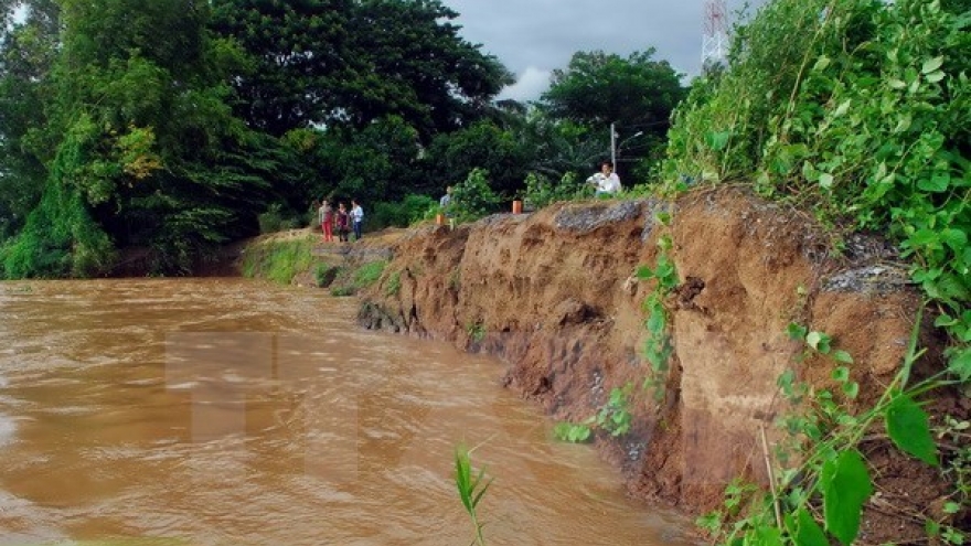 Dong Thap forecast to suffer more landslides this year