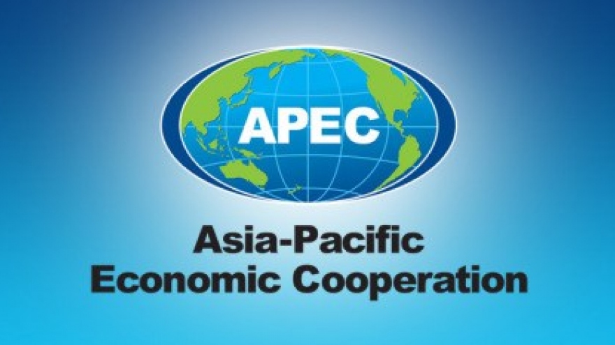 Software designers to compete in APEC app challenge in Hanoi