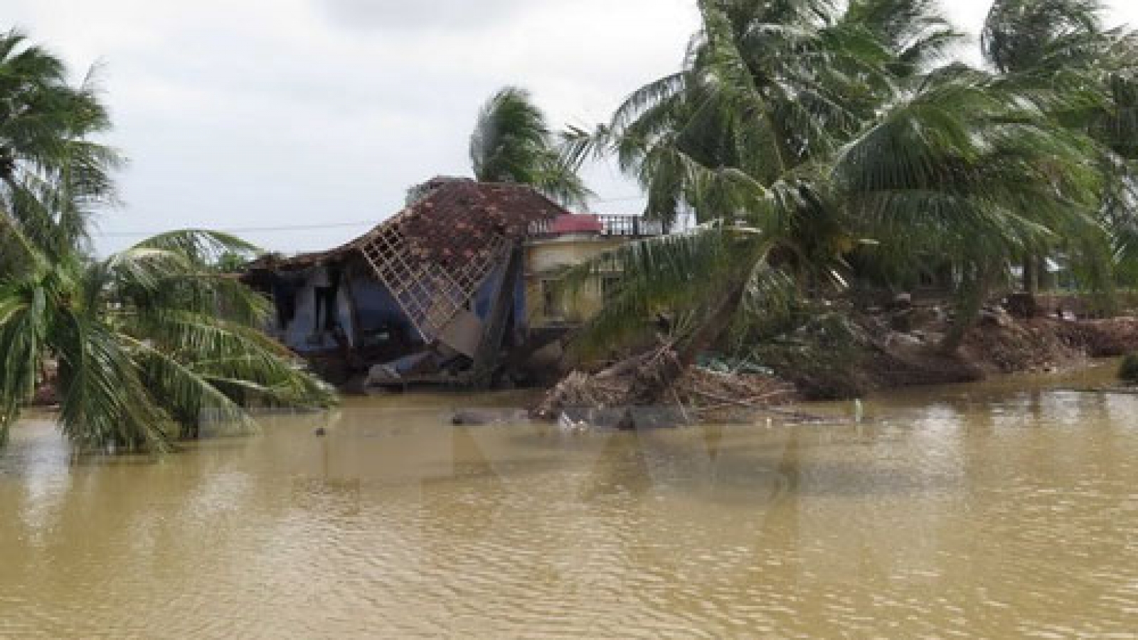 Over US$2.6 million raised for flood victims via fatherland front