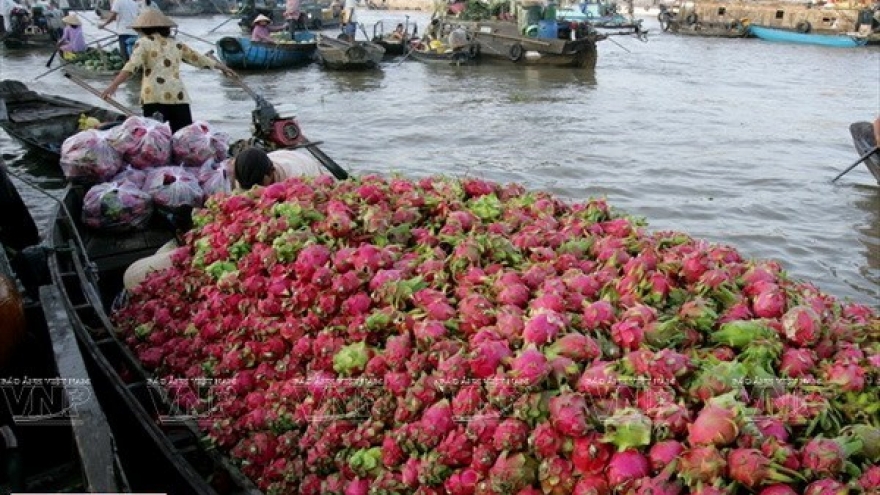 Mekong Delta’s tourism sector seeks ways to take off