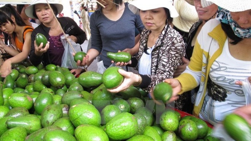 Southern fruit festival opens