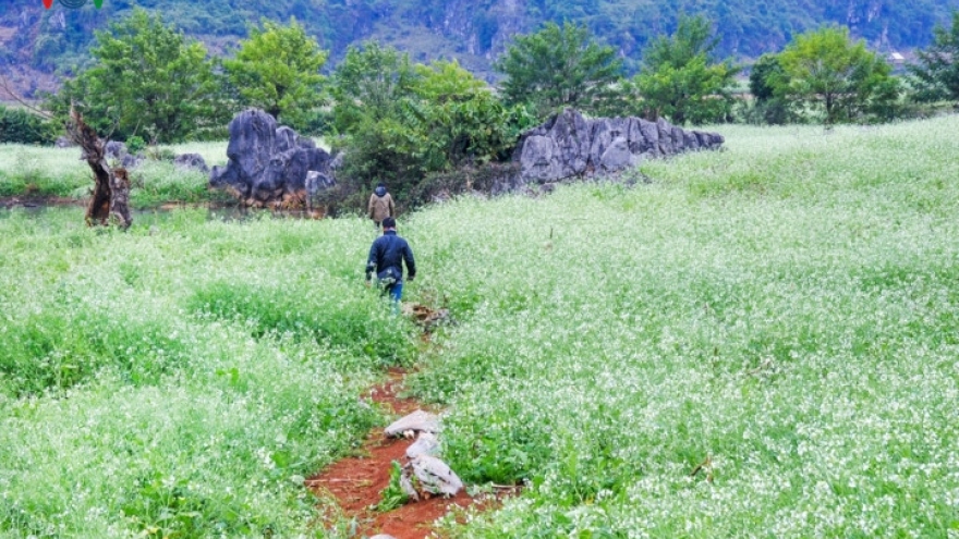 
        A visit to Ang village and Doi cave in Moc Chau, Son La
                              