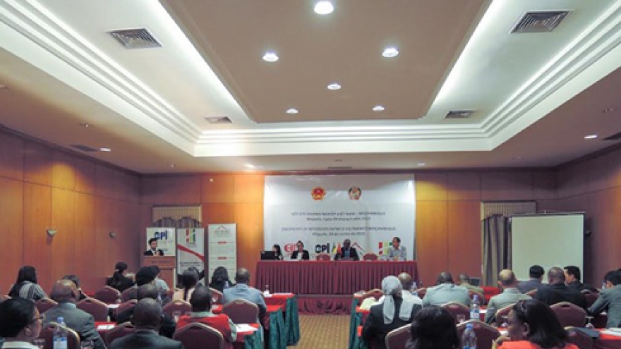 Mozambique, Vietnam enhance business-to-business connectivity