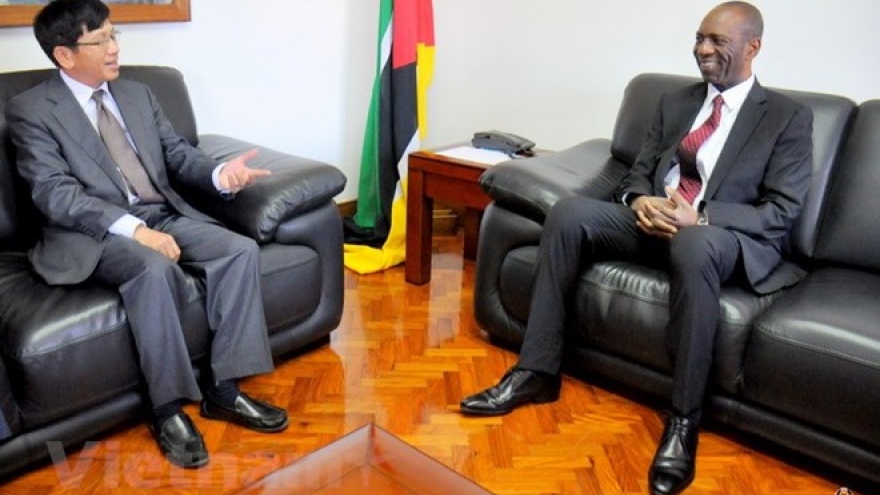 Mozambique asks for Vietnam’s continued help in agriculture