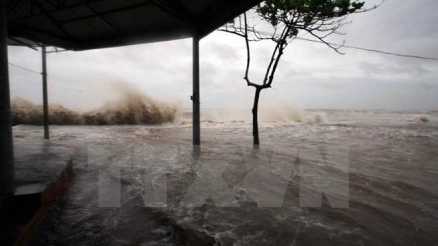 Storm Dianmu causes losses to northern mainland