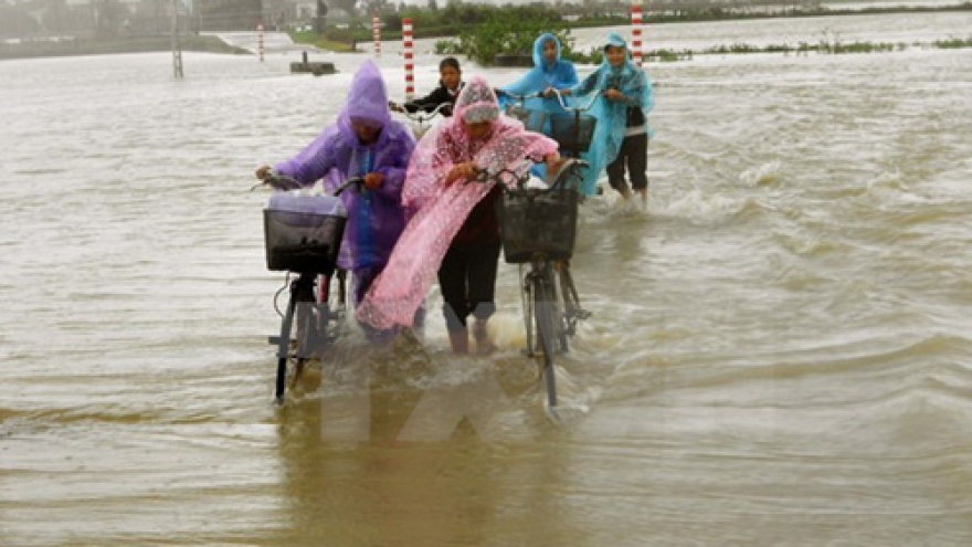 Ministry pledges rice aid to Quang Ngai