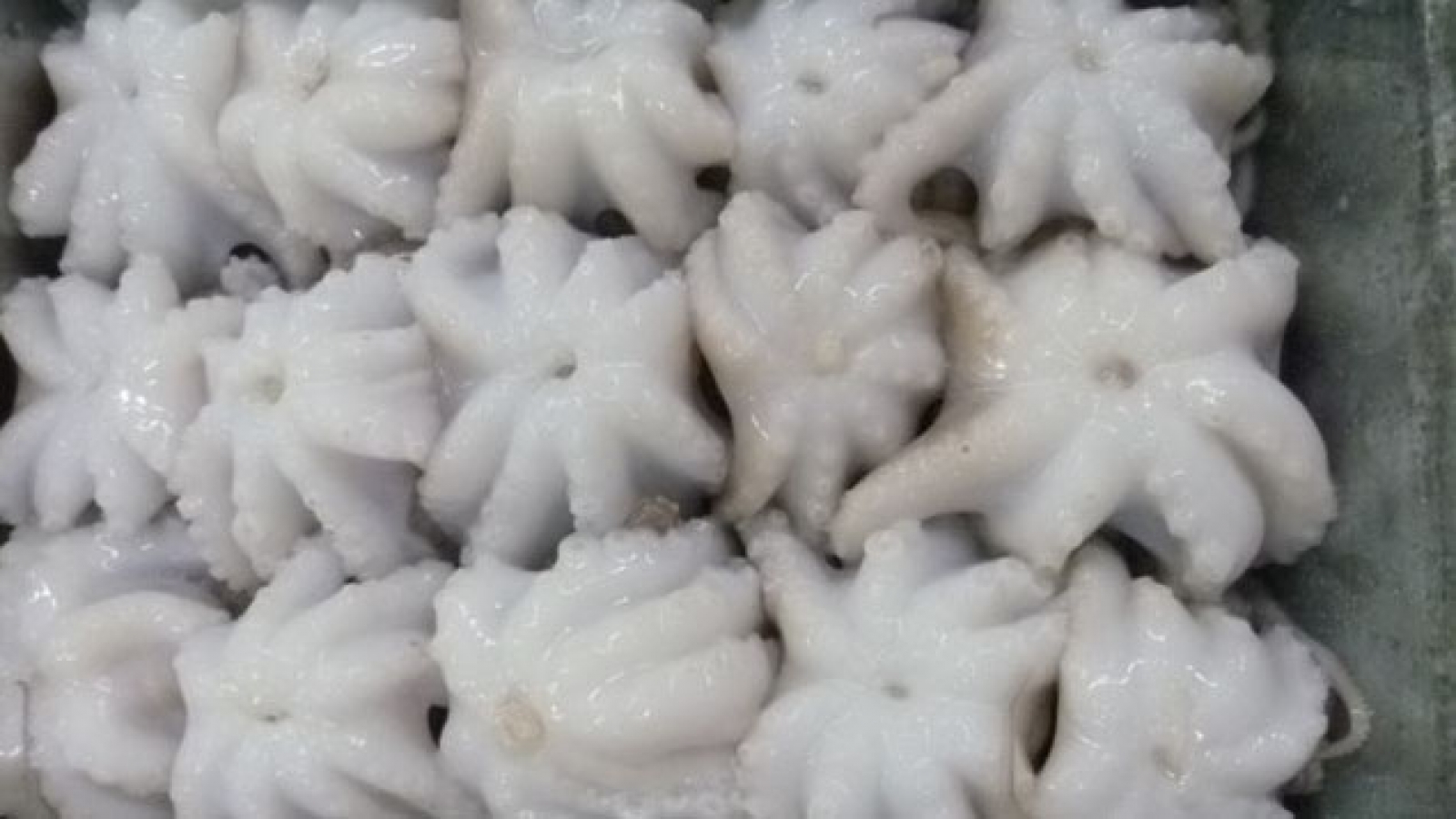 RoK - Vietnam’s leading squid, octopus importer