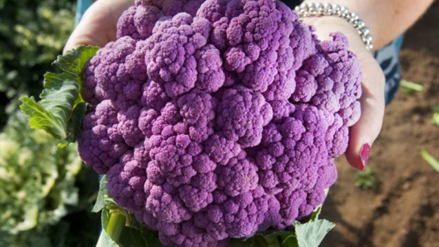 Strange fruits in Vietnam