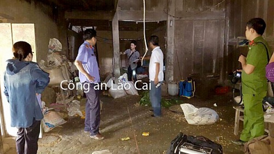 Four family members found dead in suspected murder in Lao Cai