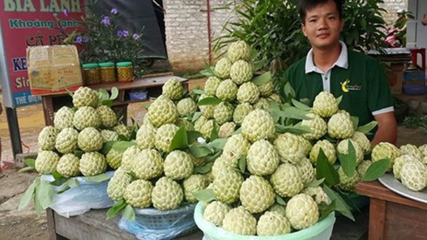 Safe farm produce and regional specialties on display in Hanoi