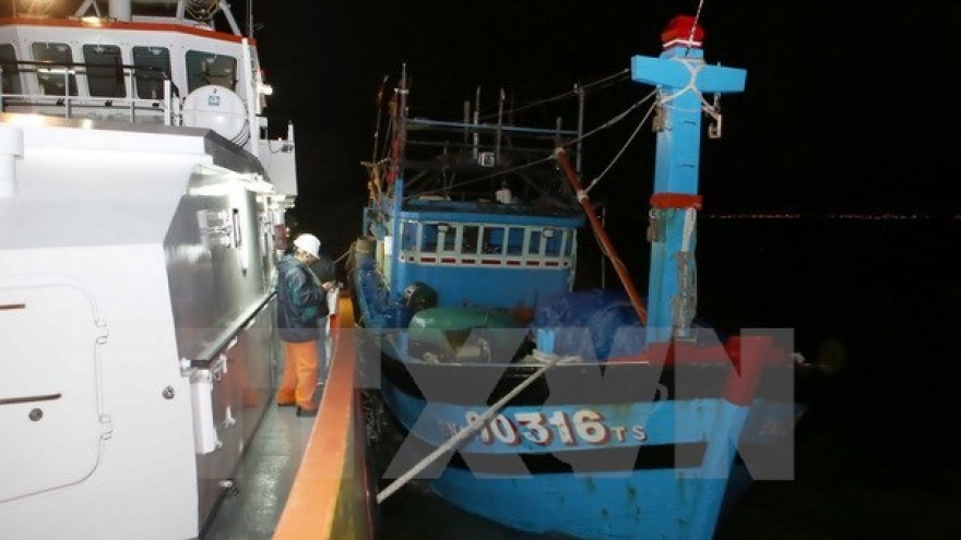 Foreign sailors rescued in Ba Ria-Vung Tau waters