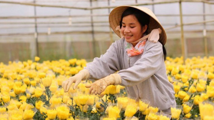 HCM City, Netherlands talk to forge agricultural ties