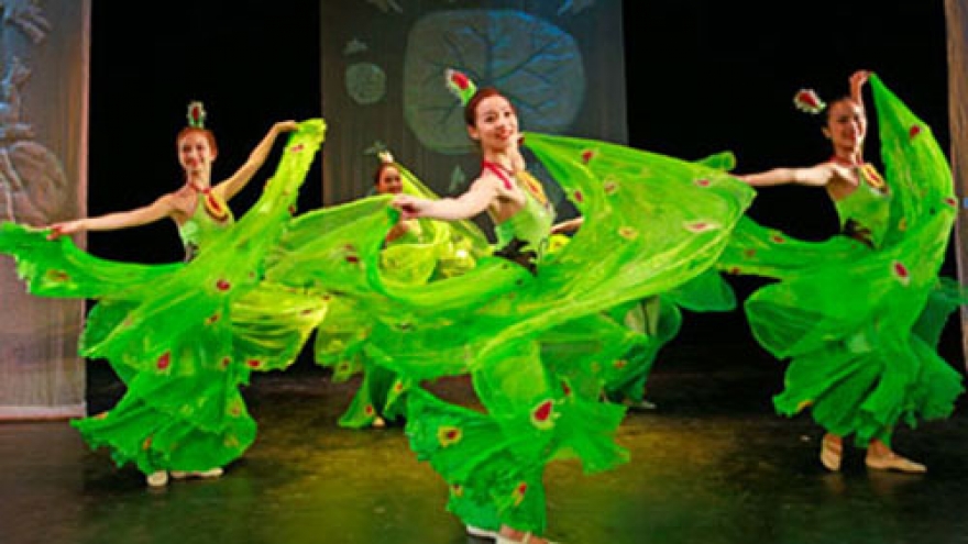Vietnamese artists win prizes at New Zealand photo competition