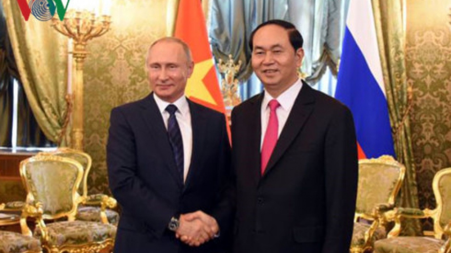 Vietnamese, Russian Presidents hold meeting