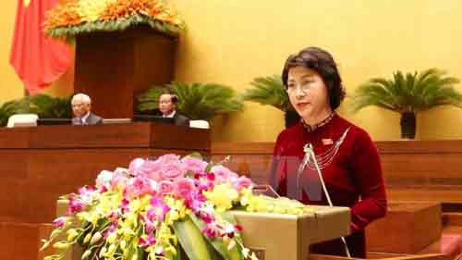 Biography of NA Chairwoman Nguyen Thi Kim Ngan