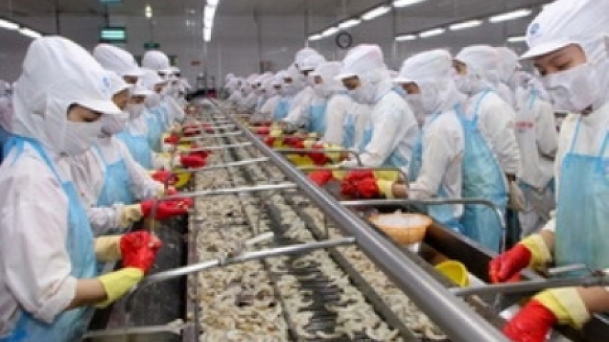 Shrimp exports to the US grow 