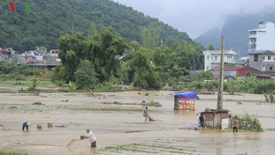 Heavy rain causes landslides, flooding in Son La