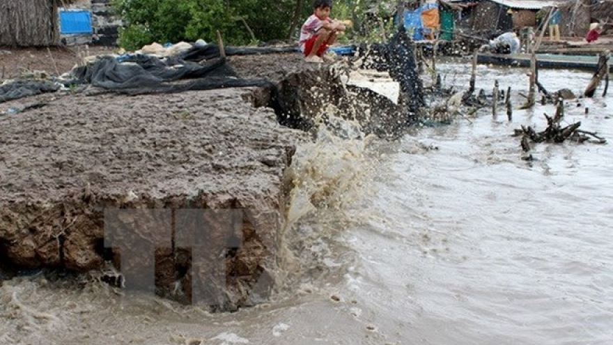 
        Ca Mau tackles climate change
                              