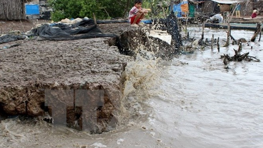 Ca Mau tackles climate change