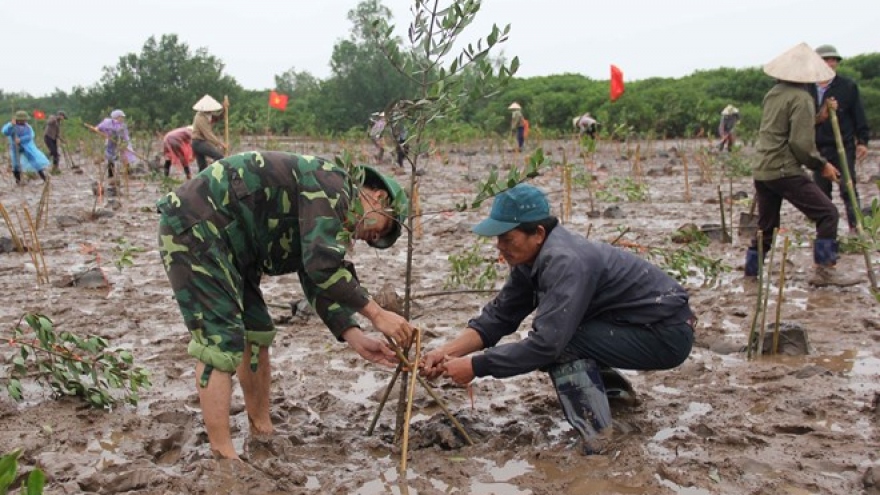 Vietnam stresses wetlands’ role in disaster risk reduction