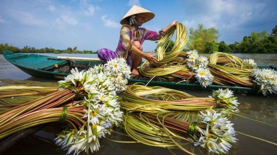Buzzfeed: Pack your bags and leave for Vietnam