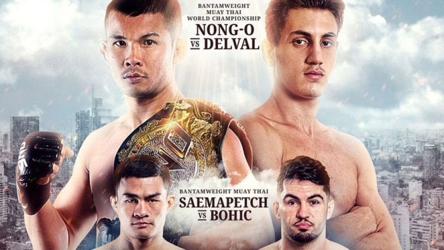 HCM City to play host to MMA show in September