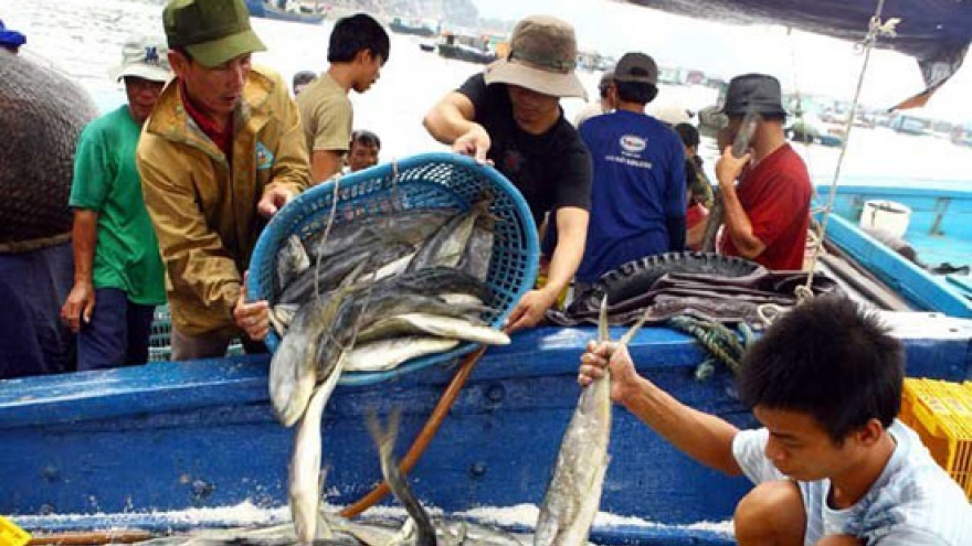 Labour export opportunities for fishermen from central provinces