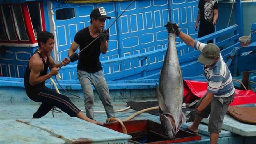 Worker safety at risk, especially in fishing
