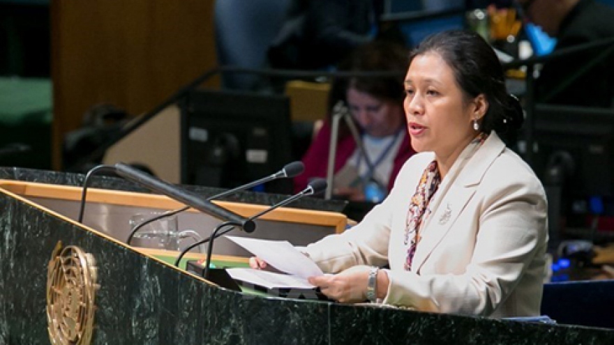 Vietnam actively contributes to ECOSOC: official