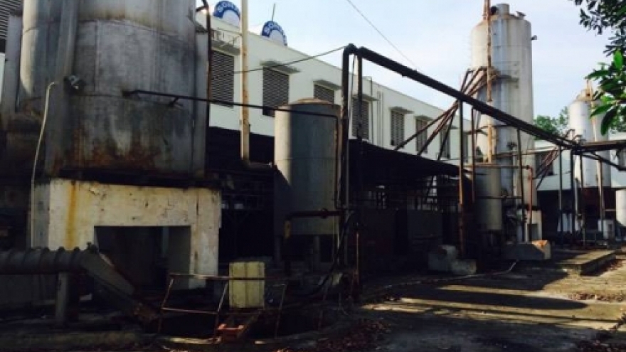 Government Inspectorate urged to probe giant pulp project