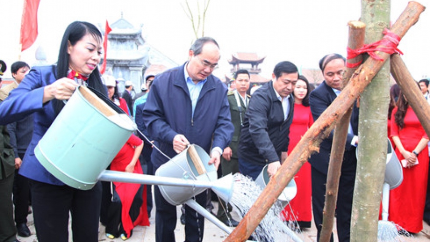 Tree planting festival launched in Vinh Phuc