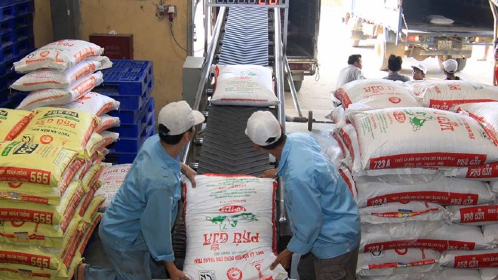 Vietnam imports largest volume of cattle feed from Argentina