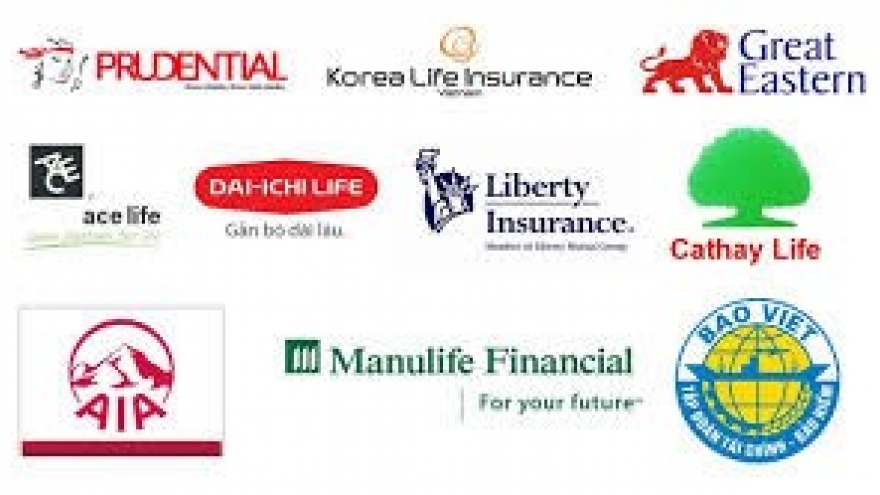Vietnamese insurance firms target niche market
