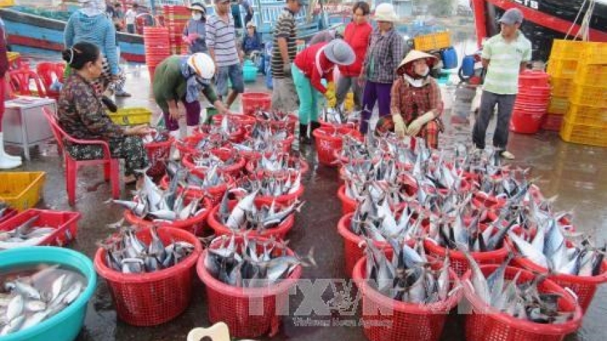 ICFO supports Vietnamese fishermen