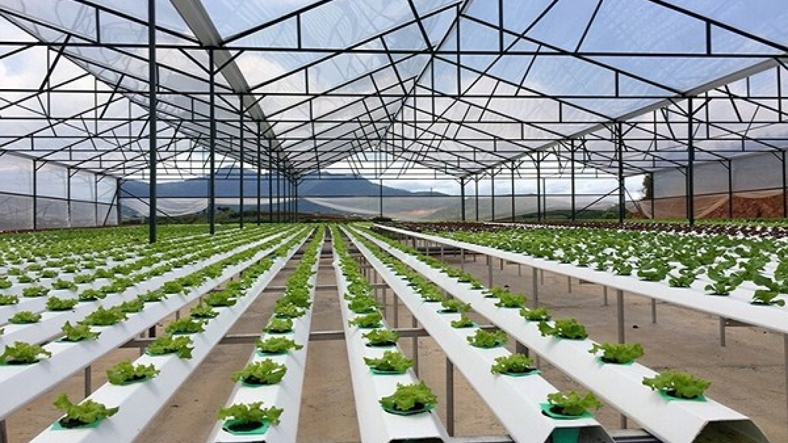 Digital agriculture the key to higher value farm produce