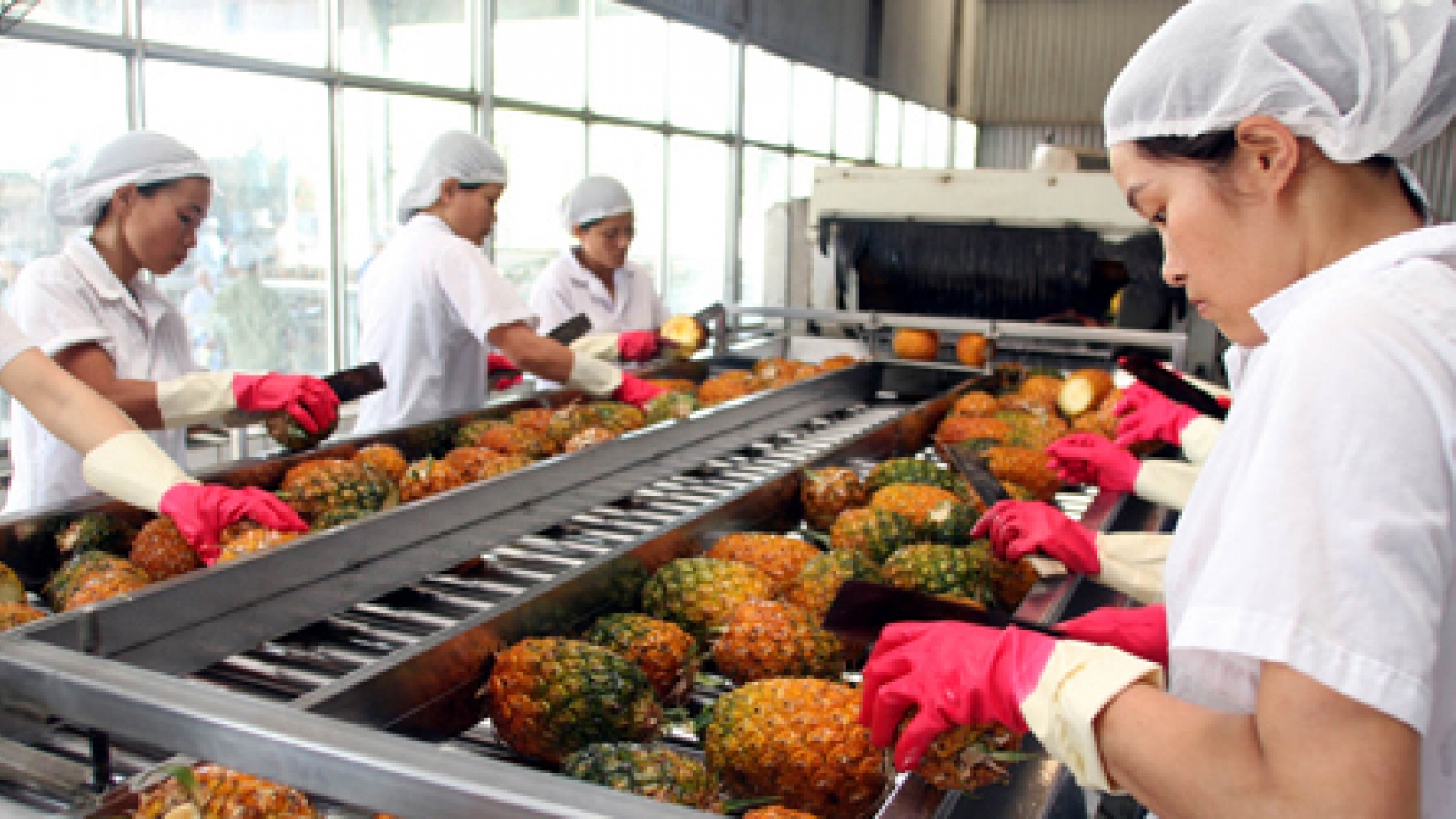 Businesses urged to avoid overdependence on China