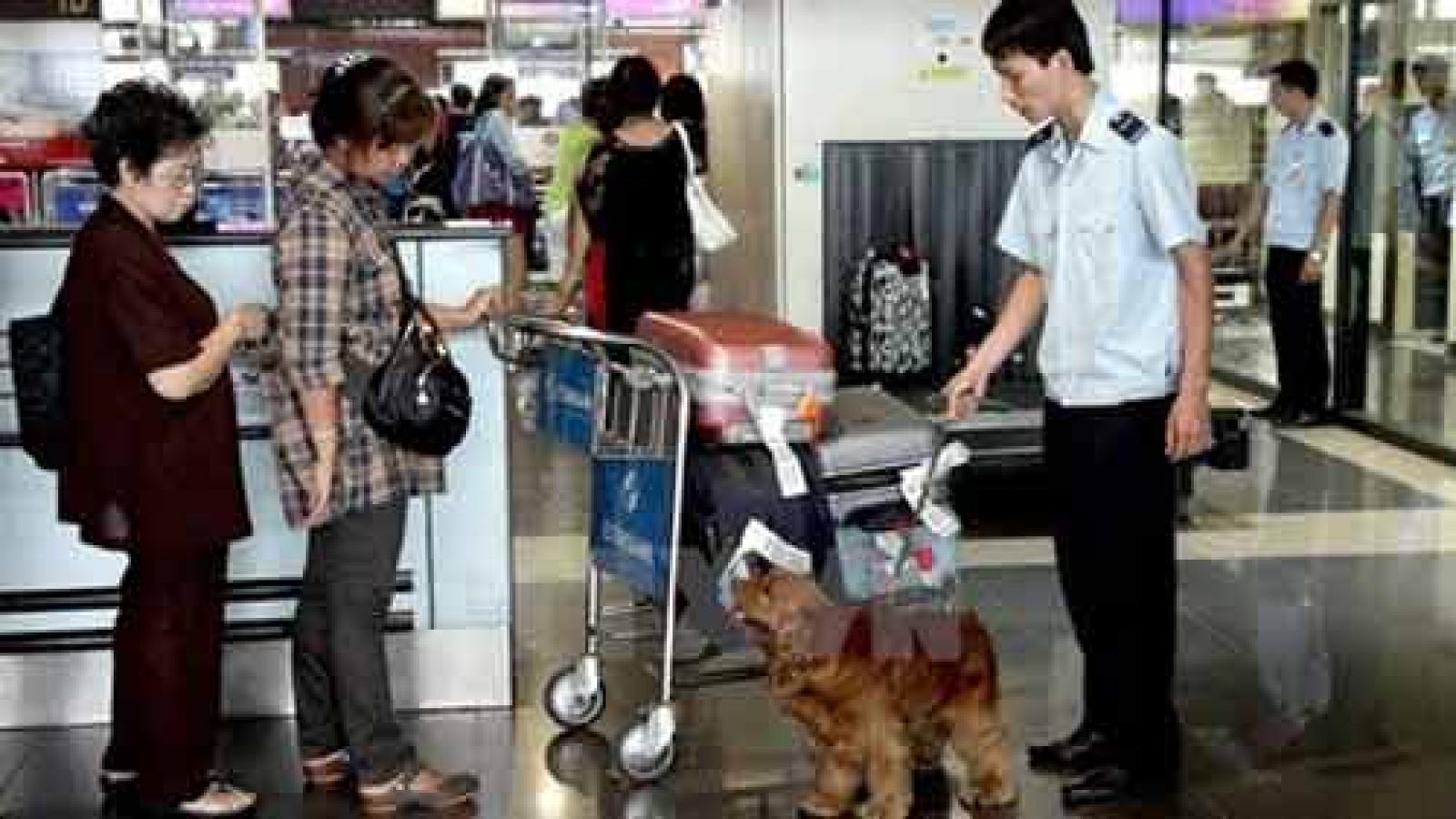 Noi Bai Airport strengthens customs checks before Tet
