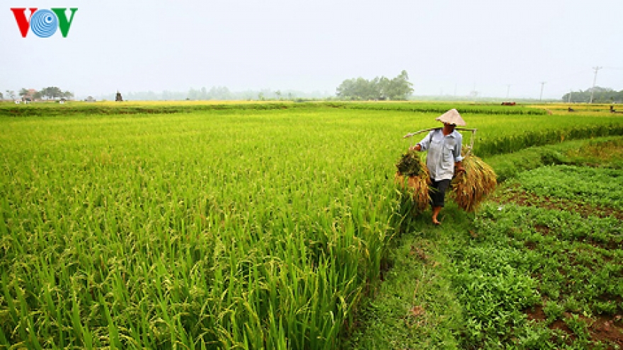 Food makers go increasingly hi-tech