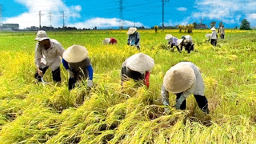 Vietnam eyes agricultural support from Japan