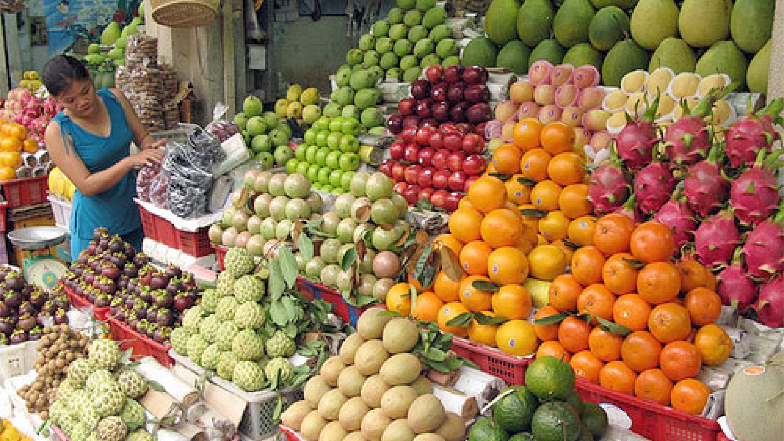 Agro-fisheries exports make inroads into Mexican market