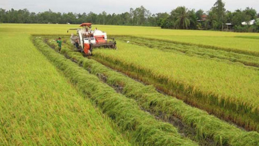 
        Int’l Agriculture Fair in Can Tho
                              