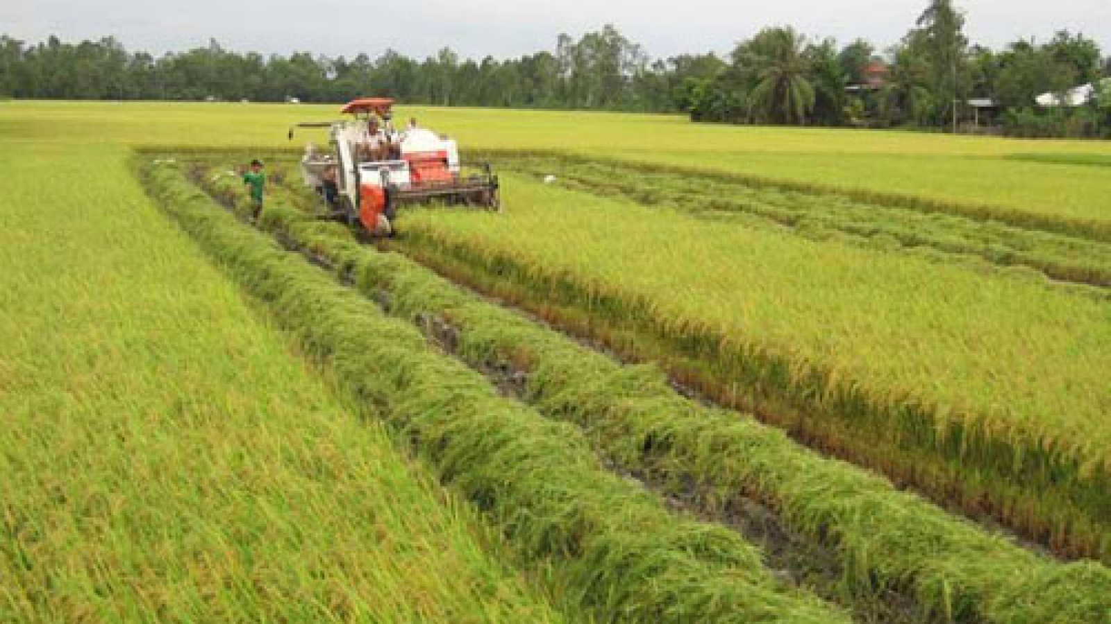 Perspectives on enhancing sustainable agriculture