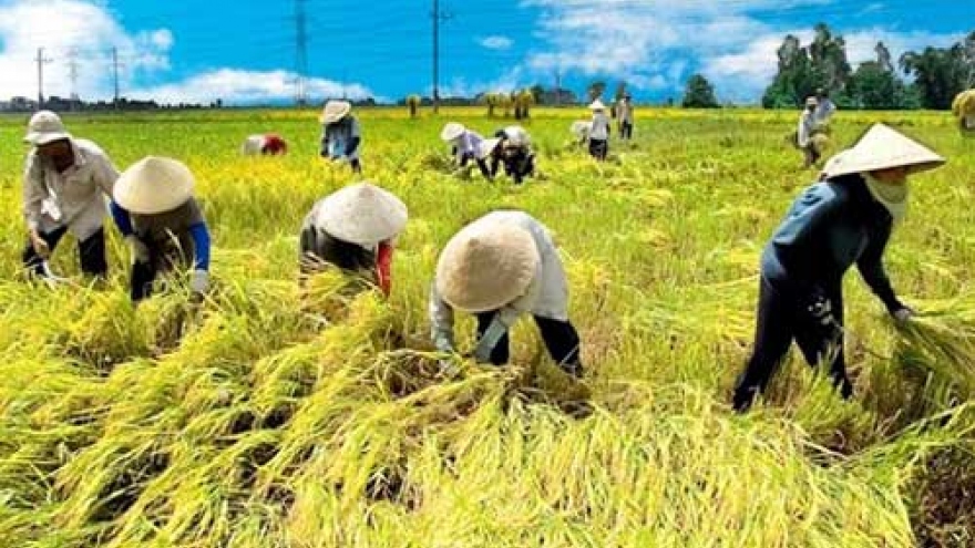 Agriculture ensures food security and contributes to rural development