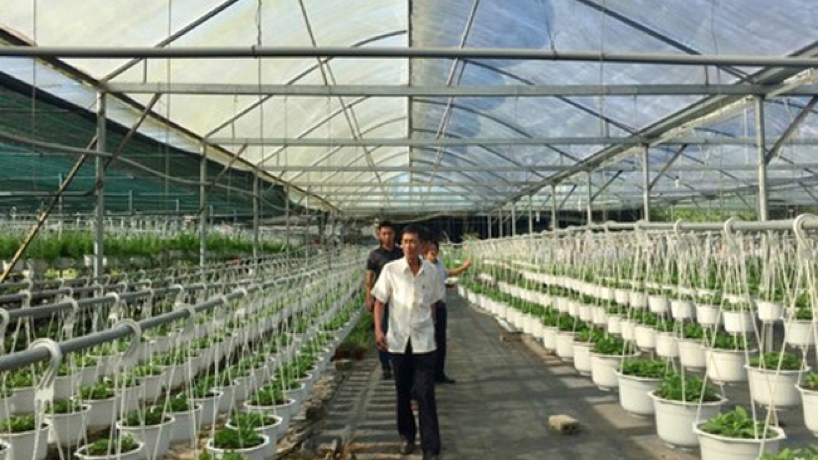 Workshop views PPP as a long-term boost to agricultural development