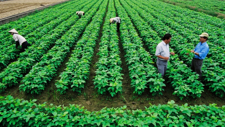 
        Experts: Land use planning key to agriculture development
                              