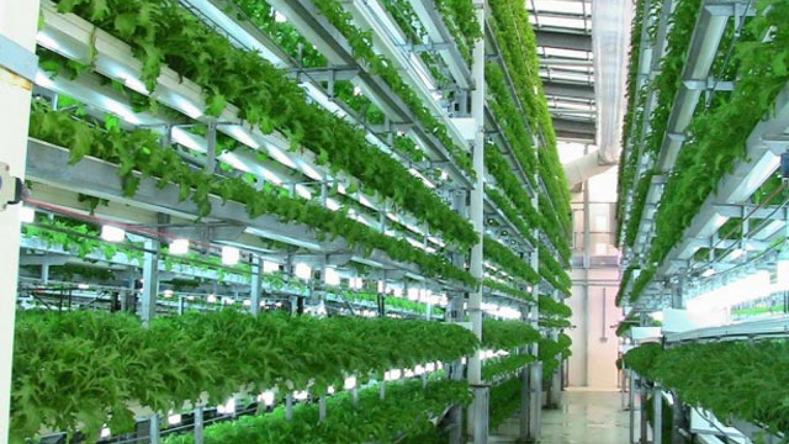 Seminar focuses on sustainable agriculture profitability