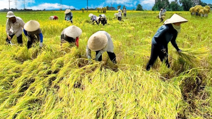 Vietnam lags behind Thailand in use of blockchain in agriculture