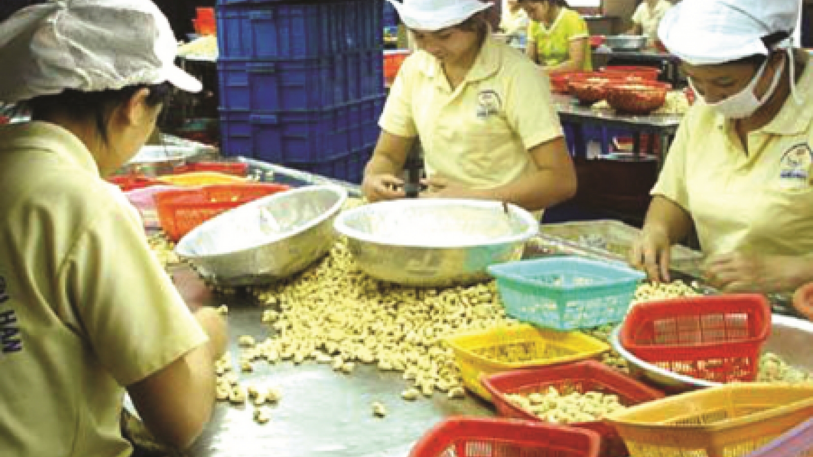Agro-forestry and seafood exports on the rise