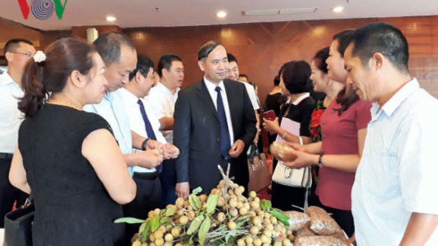 Agriculture traders seek relief from glut-fuelled market